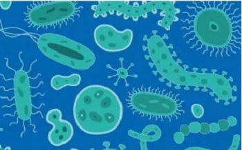 益生菌是纯天然的生物疗法，妈妈真的选对了吗？